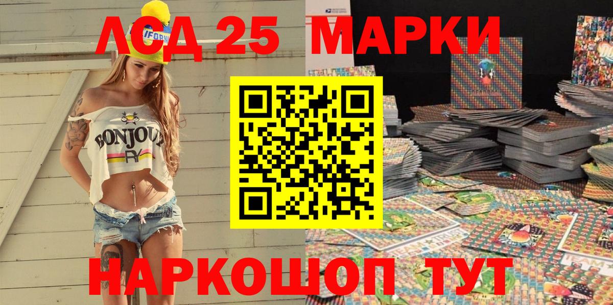 МЕФ Нововоронеж