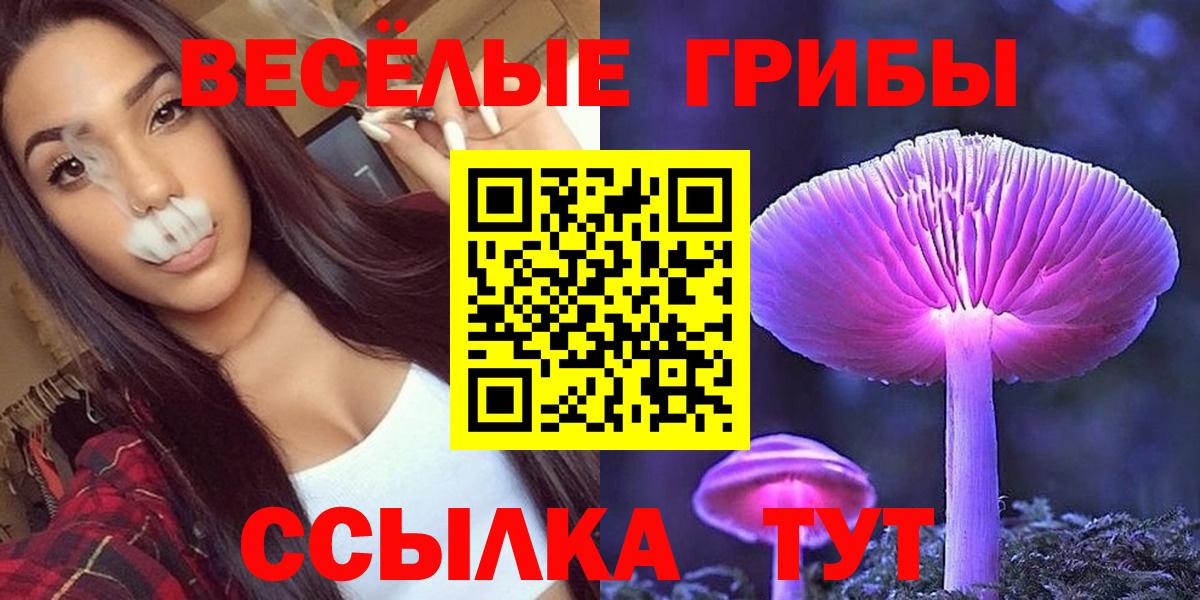 Нововоронеж  Псилоцибиновые грибы ЛСД  Вход с VPN  Галлюциногенные грибы мицелий 